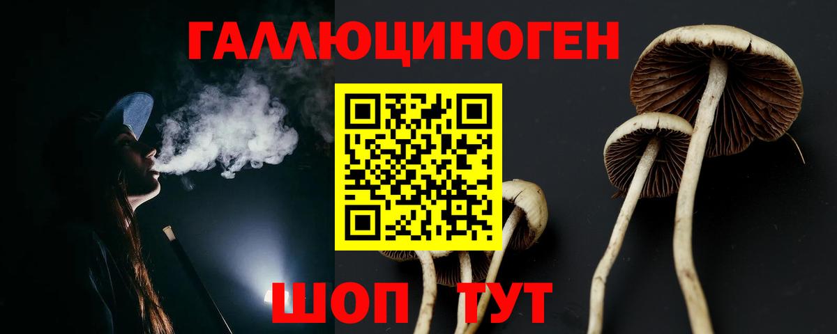 Псилоцибиновые грибы Magic Shrooms  Вход с VPN  Петровск 